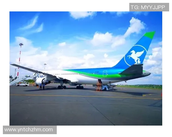 上海乒乓球队逆袭之旅揭秘世界杯背后的奋斗与荣耀 上海乒乓球队逆袭之旅揭秘世界杯背后的奋斗与荣耀