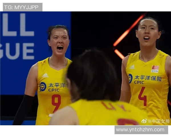 深圳排球队在杯赛中的团队协作表现分析与启示