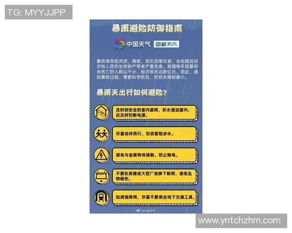 西安排球队区域防守策略解析与实战应用探讨